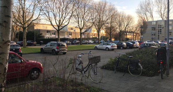 Narcisplantsoen Haarlem-West